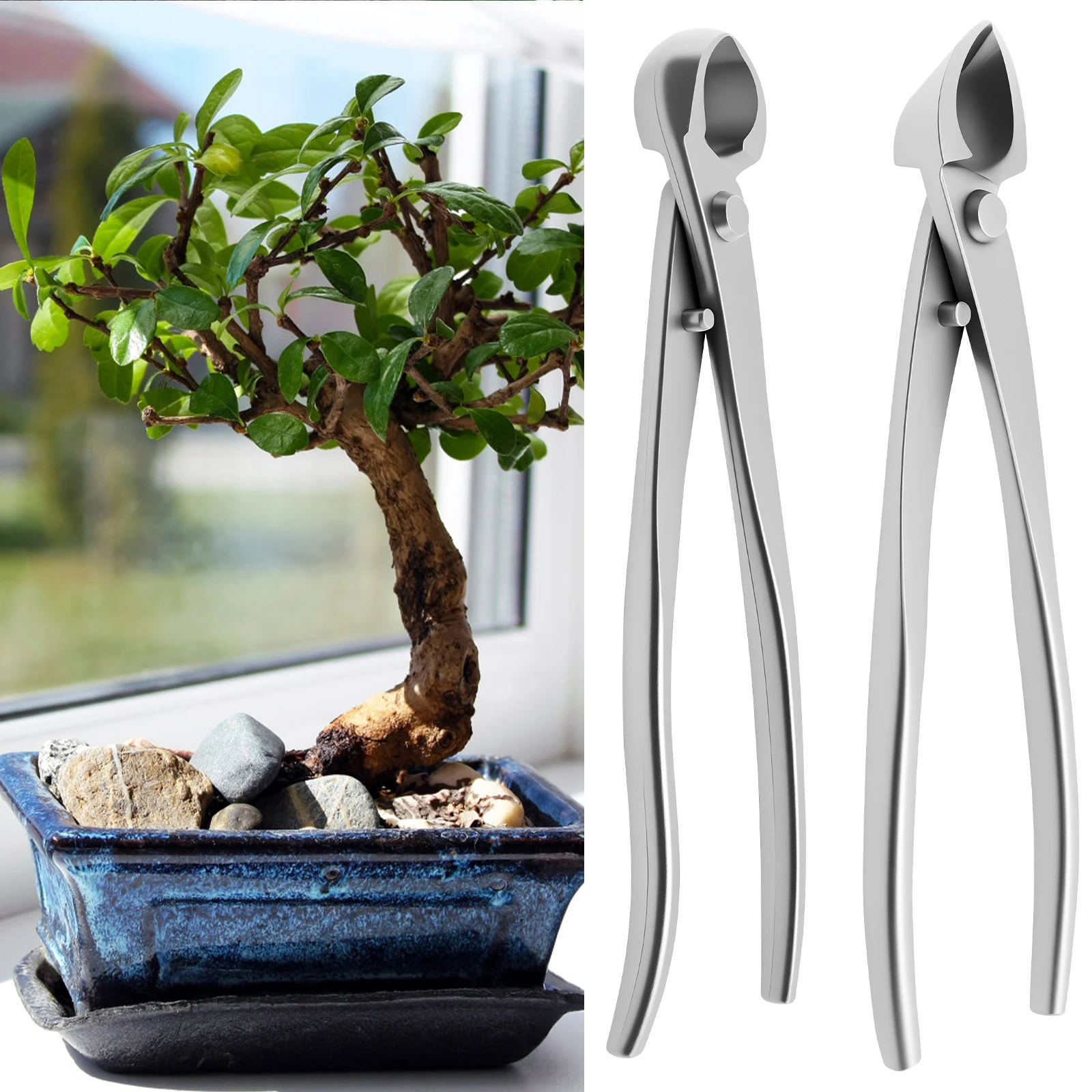 Bonsai Garden Timings - Kit de Cuidados para Bonsai em