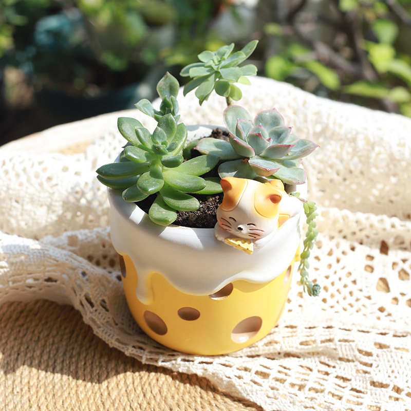 Bonsai Garden Paris - Cute Dessert Theme Suculents Plants Pot,