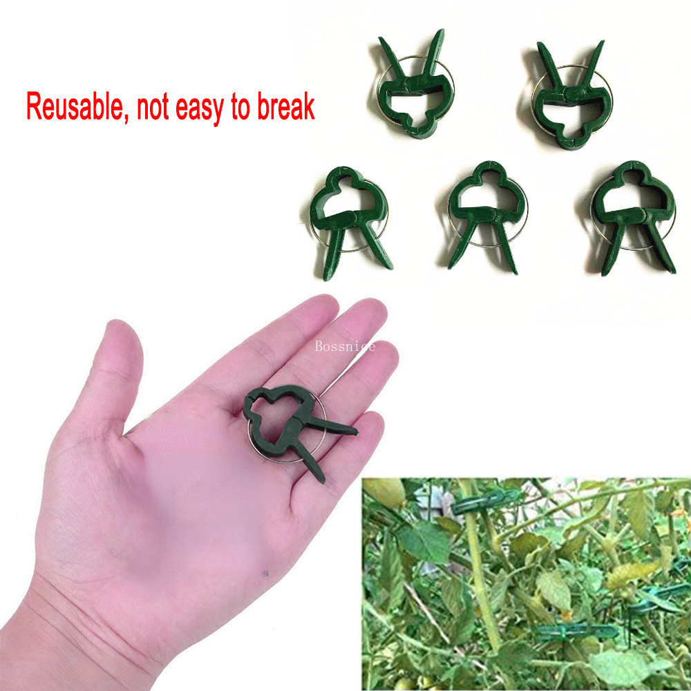 Bonsai Garden Paris - Plant Support Clips para plantas de