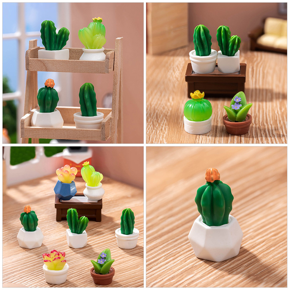 8 Peças Miniaturas de Cactos e - Bonsai Garden Desk avaliação e preço