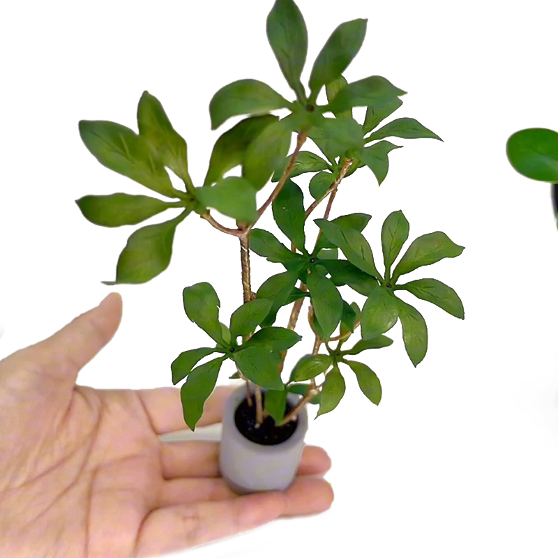 Dollhouse Miniature Modelo de  - Bonsai Garden Ideas avaliação e preço