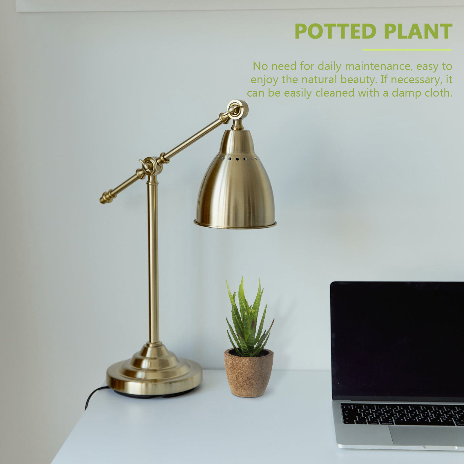 4 Peças de Plantas Suculentas  - Bonsai Garden And Cafe avaliação e preço