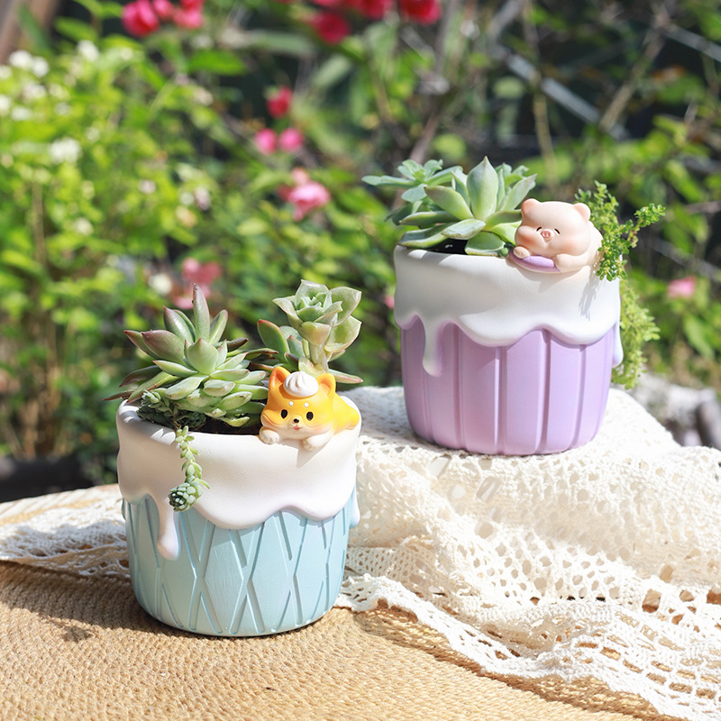 Cute Dessert Theme Suculents P - Bonsai Garden Paris avaliação e preço