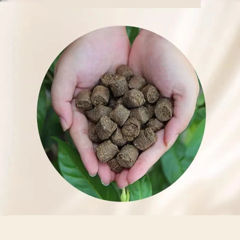 250g fertilizante de jade, bon - Bonsai Fertilizer Granule avaliação e preço