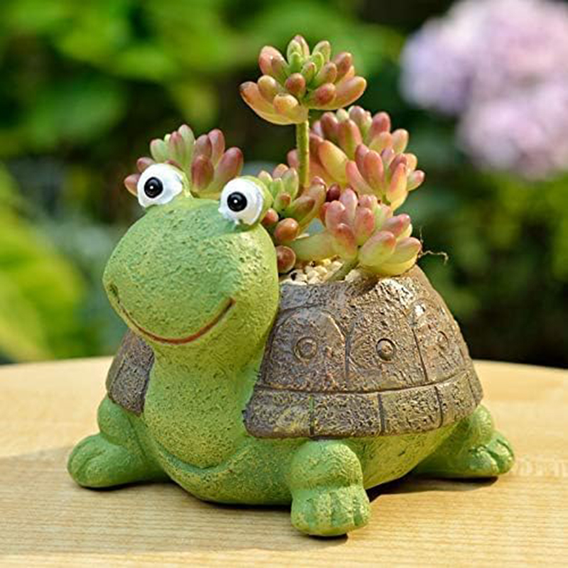 Cute Turtle Planter Suculento  - Bonsai Garden Desk avaliação e preço