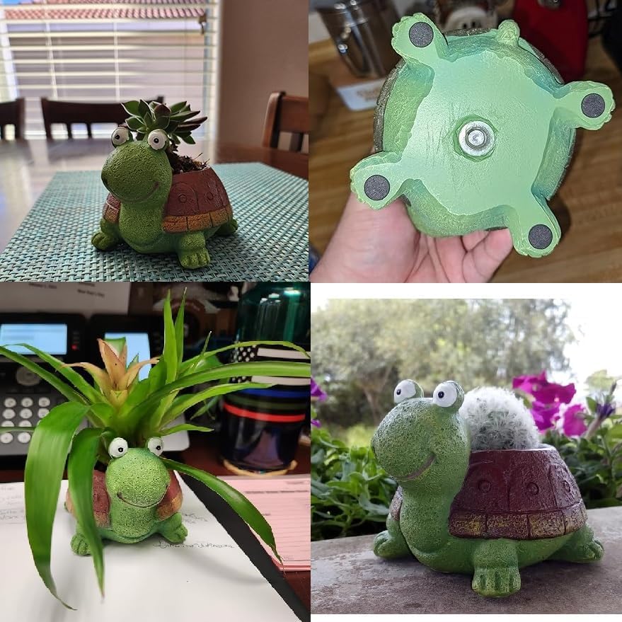 Cute Turtle Planter Suculento  - Bonsai Garden Desk avaliação e preço