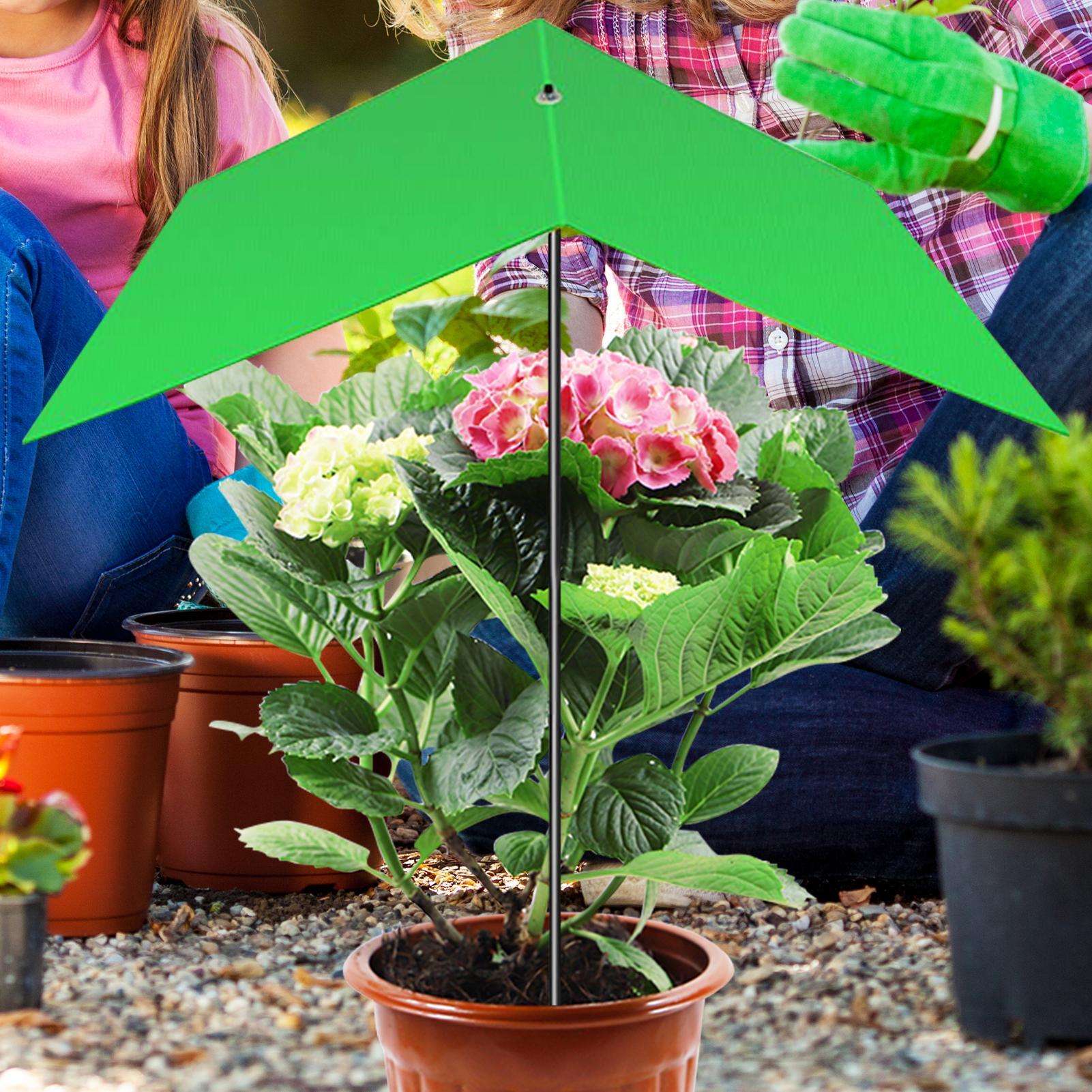 Guarda-chuva para plantas, ant - Bonsai Garden And Cafe avaliação e preço