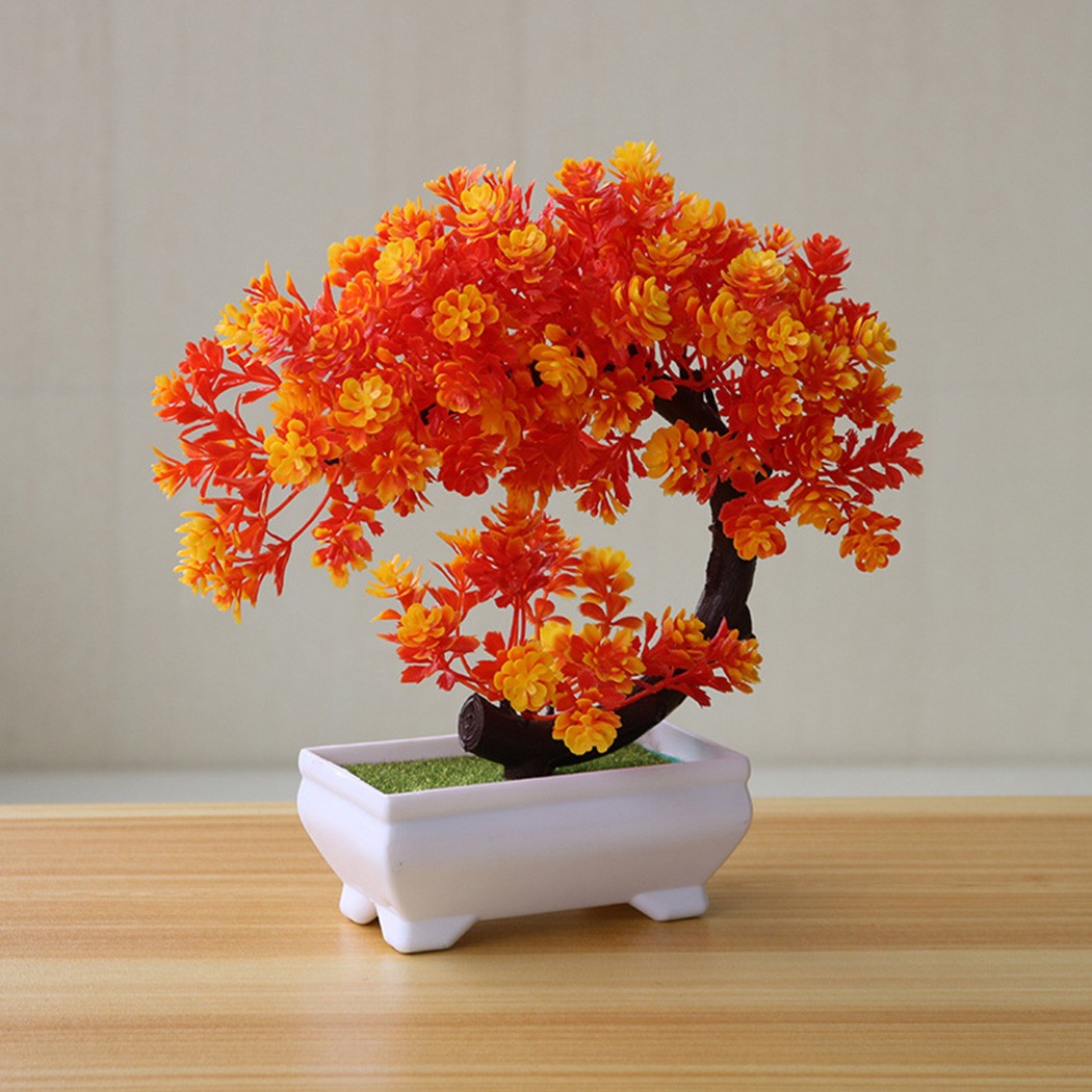Ornamento de bonsai em vaso de - Bonsai Garden Desk avaliação e preço