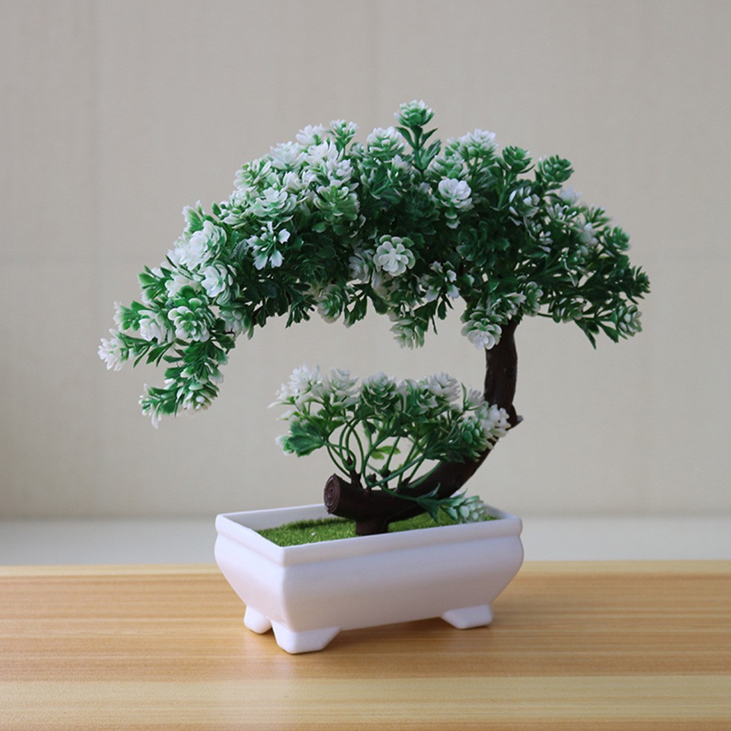Ornamento de bonsai em vaso de - Bonsai Garden Desk avaliação e preço