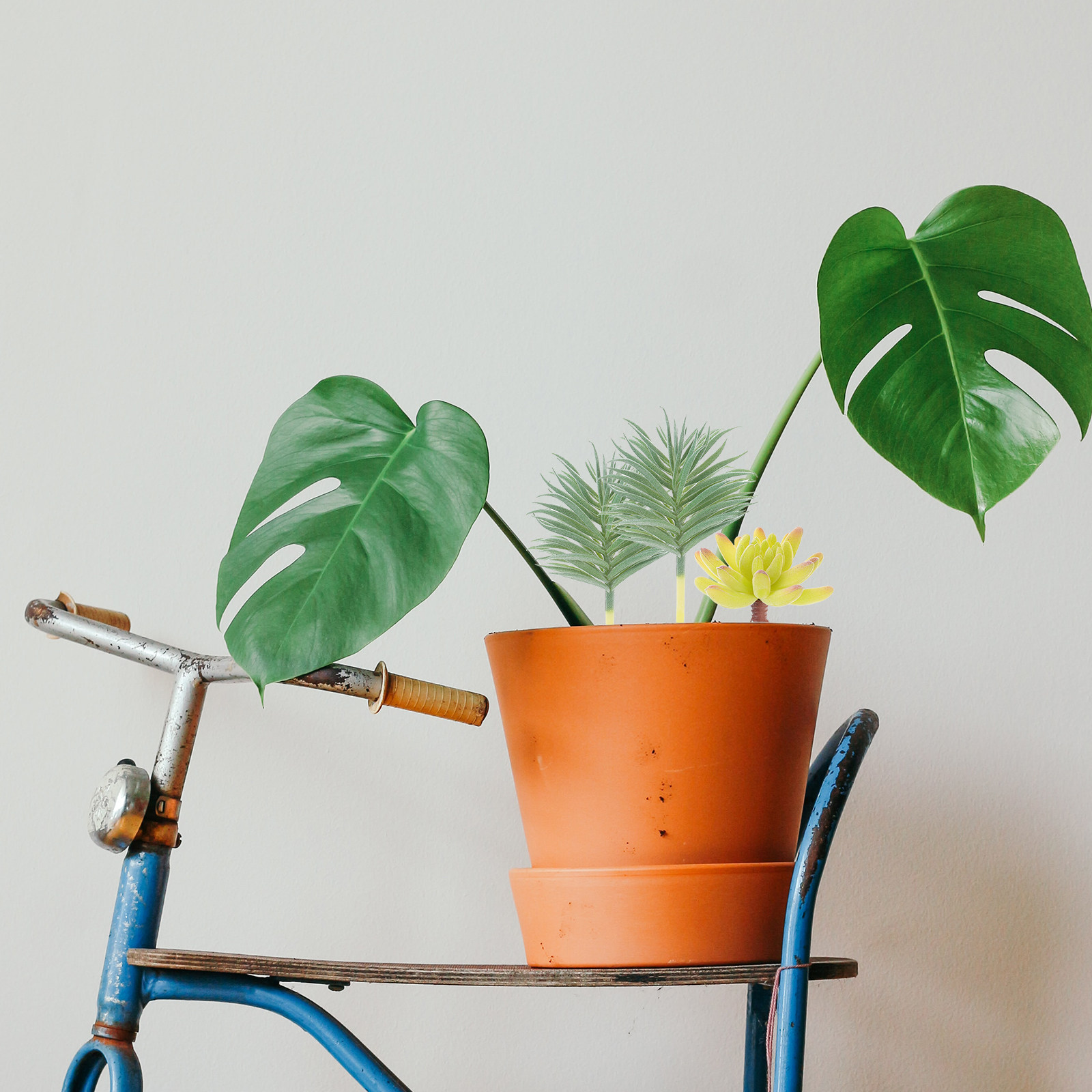 15 Peças de Plantas Artificiai - Bonsai Garden With Sand avaliação e preço