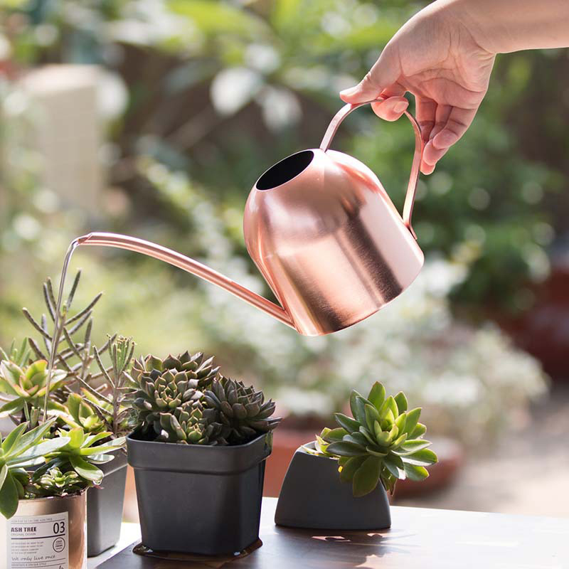 Rega de aço inoxidável para pl - Bonsai Garden Paris avaliação e preço