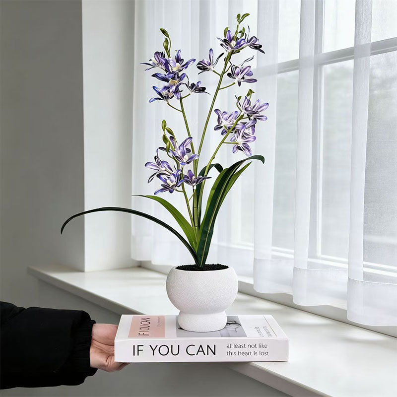 Novo saltando orquídea pote de - Bonsai Garden With Sand avaliação e preço