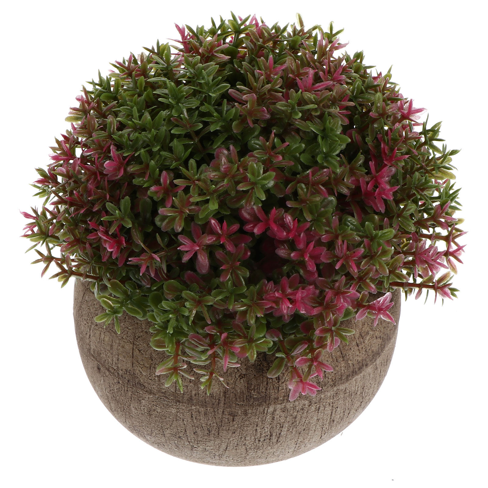 Mini Bonsai de Plástico, Plant - Bonsai Garden And Cafe avaliação e preço